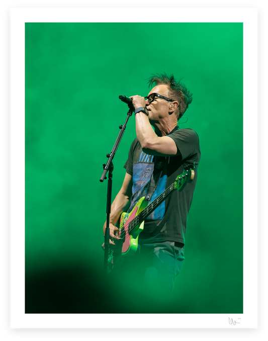 Blink 182 - Mark Hoppus 3