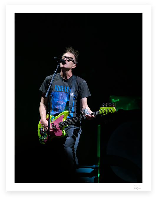 Blink 182 - Mark Hoppus 5